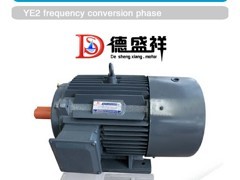 邢臺電動機(jī)|優(yōu)質(zhì)的三相異步電動機(jī)供應(yīng)商圖片|邢臺電動機(jī)|優(yōu)質(zhì)的三相異步電動機(jī)供應(yīng)商產(chǎn)品圖片由鄭州德盛祥電機(jī)制造有限公司公司生產(chǎn)提供-企業(yè)庫網(wǎng)