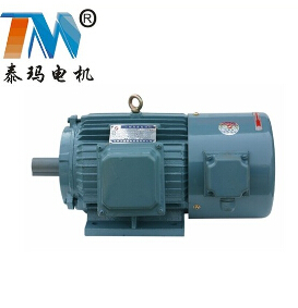 供應(yīng)變頻調(diào)速三相異步電動機(jī)_長沙