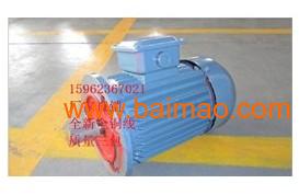 熱銷商品高效節(jié)能電動機(jī),熱銷商品高效節(jié)能電動機(jī)生產(chǎn)廠家,熱銷商品高效節(jié)能電動機(jī)價(jià)格